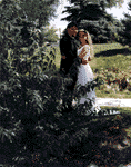 Wedding 4